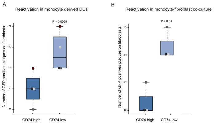 https://cdn.ncbi.nlm.nih.gov/pmc/blobs/98ab/7039680/ff3aa070a33e/elife-52168-fig4.jpg