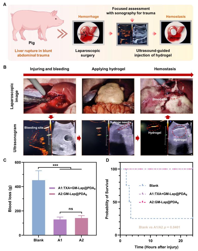https://cdn.ncbi.nlm.nih.gov/pmc/blobs/98ac/12374639/196b22b45c93/thnov15p8509g007.jpg