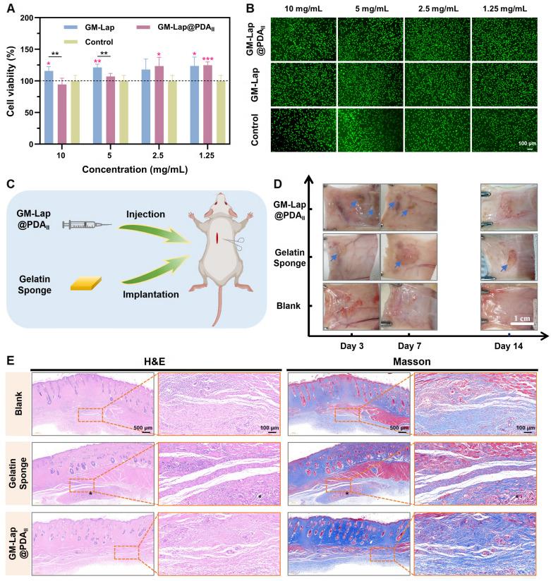 https://cdn.ncbi.nlm.nih.gov/pmc/blobs/98ac/12374639/a7069048f553/thnov15p8509g005.jpg