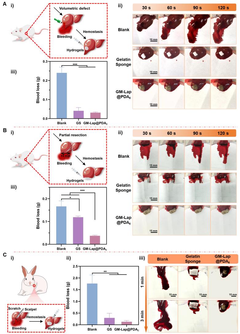 https://cdn.ncbi.nlm.nih.gov/pmc/blobs/98ac/12374639/adcfdb648a4e/thnov15p8509g006.jpg