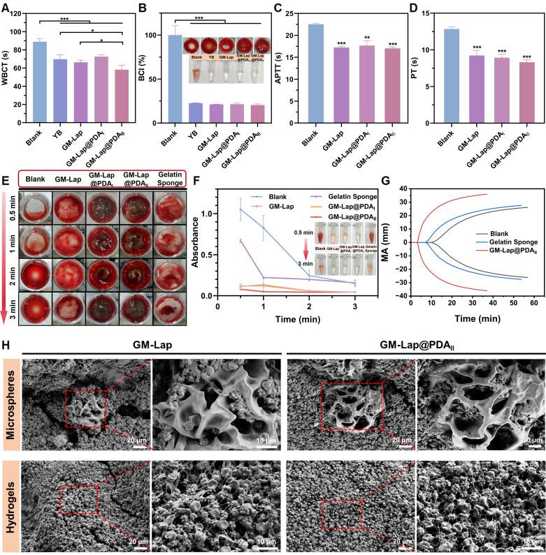 https://cdn.ncbi.nlm.nih.gov/pmc/blobs/98ac/12374639/dca2ed0247ee/thnov15p8509g004.jpg