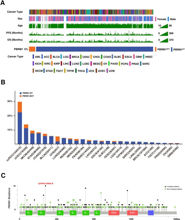 https://cdn.ncbi.nlm.nih.gov/pmc/blobs/98b2/9868445/796f3d2fae3e/fgene-13-1066347-g005.jpg
