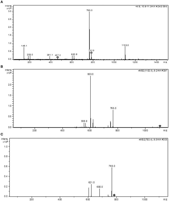 https://cdn.ncbi.nlm.nih.gov/pmc/blobs/98b3/5385348/d3386e22c33d/fmicb-08-00595-g0006.jpg