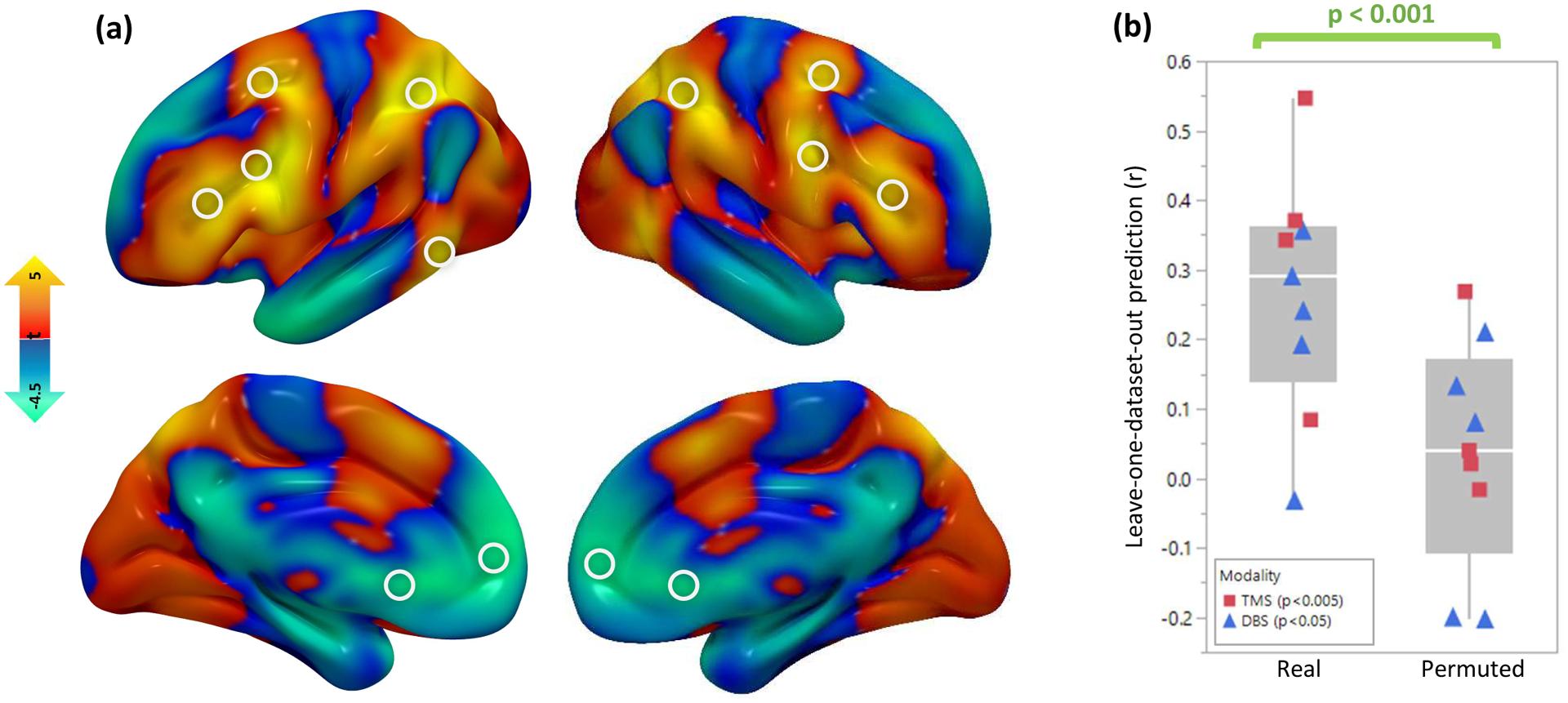 https://cdn.ncbi.nlm.nih.gov/pmc/blobs/98b3/8688172/322a1a7b2515/nihms-1714592-f0005.jpg