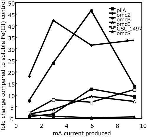 https://cdn.ncbi.nlm.nih.gov/pmc/blobs/98b6/2680965/e4978a1f079b/pone.0005628.g004.jpg