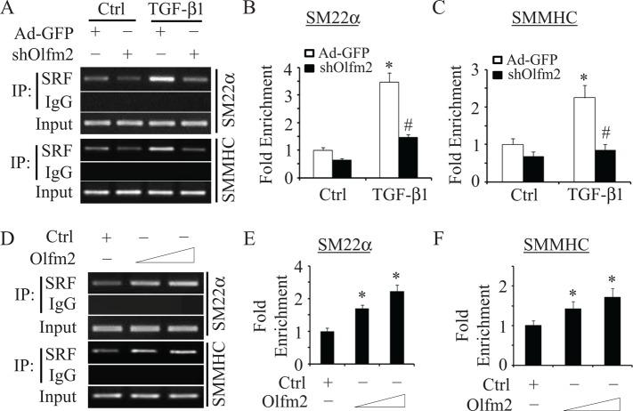 https://cdn.ncbi.nlm.nih.gov/pmc/blobs/98bb/4263453/ec4246b1c92c/4106fig8.jpg