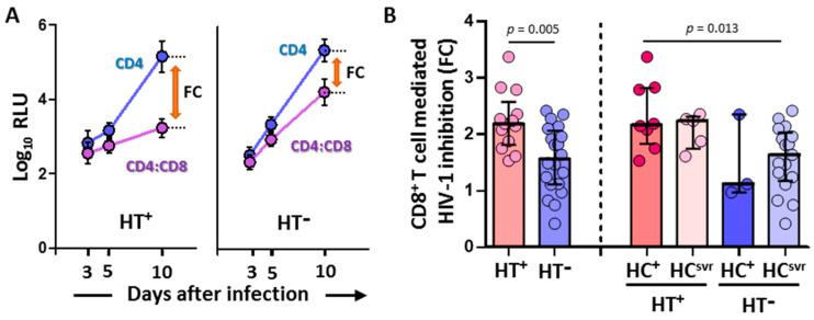 https://cdn.ncbi.nlm.nih.gov/pmc/blobs/98bd/9695633/3cfbc07af8a8/viruses-14-02472-g001.jpg
