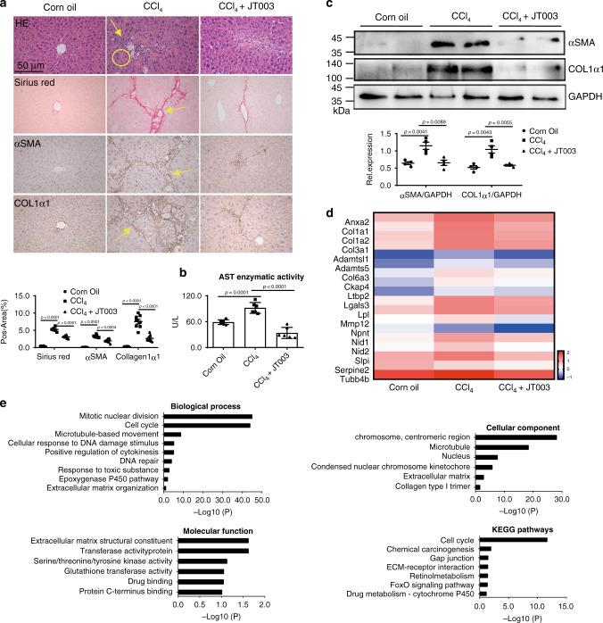 https://cdn.ncbi.nlm.nih.gov/pmc/blobs/98bf/7669869/fdb949b4beba/41467_2020_19668_Fig5_HTML.jpg