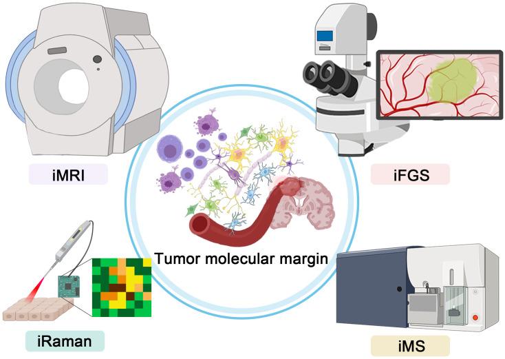 https://cdn.ncbi.nlm.nih.gov/pmc/blobs/98bf/9909013/aca0c55dbbf3/fonc-13-1114450-g001.jpg