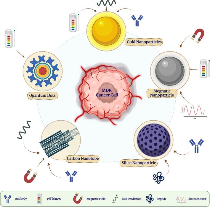 https://cdn.ncbi.nlm.nih.gov/pmc/blobs/98c1/10557914/4822dd1300bc/CAM4-12-18797-g004.jpg