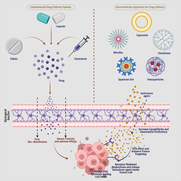 https://cdn.ncbi.nlm.nih.gov/pmc/blobs/98c1/10557914/7a793e07d7a9/CAM4-12-18797-g001.jpg