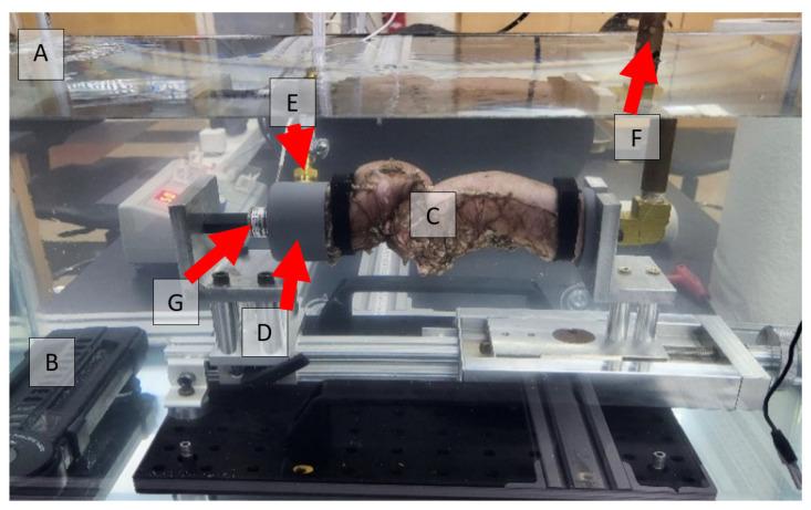 https://cdn.ncbi.nlm.nih.gov/pmc/blobs/98c1/12293007/f1d3035a2173/bioengineering-12-00676-g004.jpg