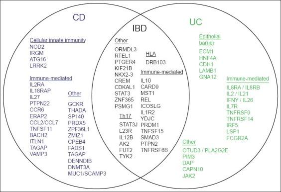 https://cdn.ncbi.nlm.nih.gov/pmc/blobs/98c2/4188925/e3bf5a712613/AnnGastroenterol-27-294-g003.jpg