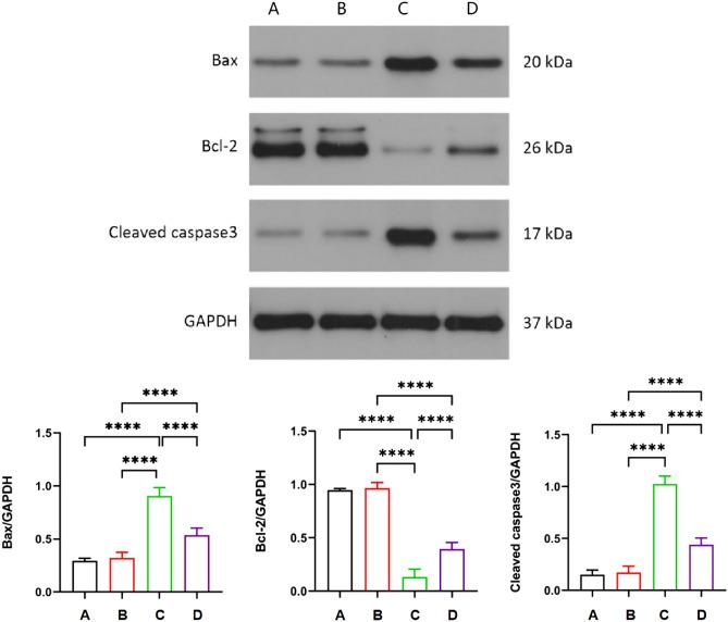 https://cdn.ncbi.nlm.nih.gov/pmc/blobs/98c5/11408680/c22c1e638aaa/41598_2024_72352_Fig6_HTML.jpg