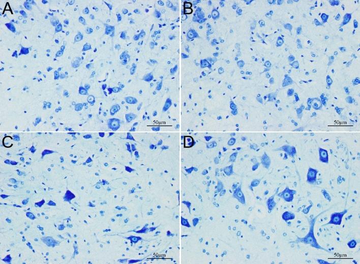 https://cdn.ncbi.nlm.nih.gov/pmc/blobs/98c5/11408680/c4a77a65415b/41598_2024_72352_Fig3_HTML.jpg