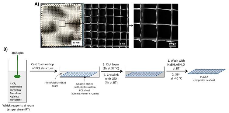 https://cdn.ncbi.nlm.nih.gov/pmc/blobs/98c5/8512525/23ec17e3c842/polymers-13-03399-g001.jpg