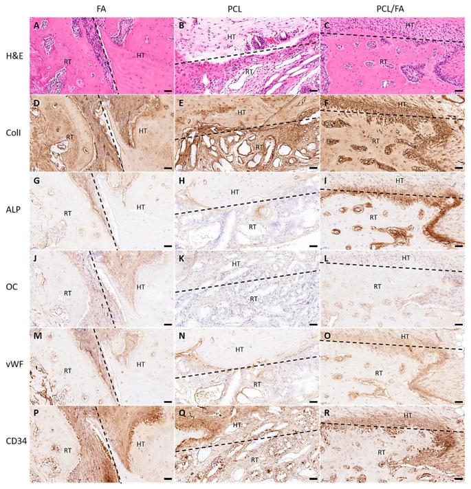https://cdn.ncbi.nlm.nih.gov/pmc/blobs/98c5/8512525/5c57572b4250/polymers-13-03399-g009.jpg
