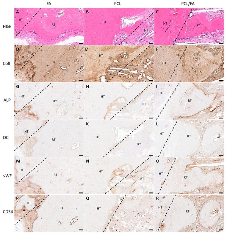 https://cdn.ncbi.nlm.nih.gov/pmc/blobs/98c5/8512525/edd35c3000a7/polymers-13-03399-g010.jpg