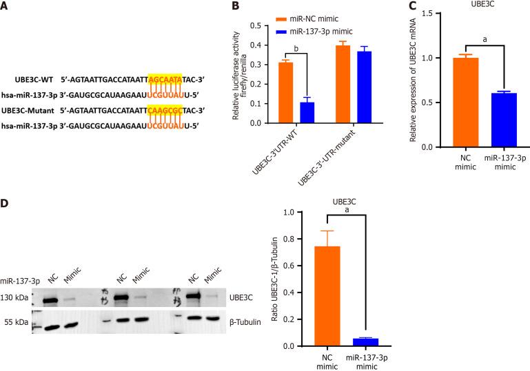 https://cdn.ncbi.nlm.nih.gov/pmc/blobs/98c6/12038465/1bbd0a994fea/100359-g005.jpg