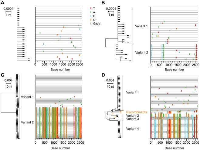 https://cdn.ncbi.nlm.nih.gov/pmc/blobs/98c8/2869329/fed324277ba2/ppat.1000890.g002.jpg