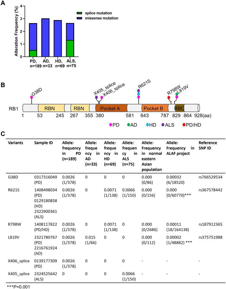 https://cdn.ncbi.nlm.nih.gov/pmc/blobs/98c9/11026443/abbc59cf8adf/41420_2024_1955_Fig1_HTML.jpg