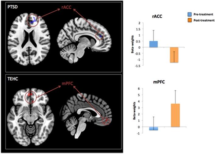 https://cdn.ncbi.nlm.nih.gov/pmc/blobs/98cd/5065048/1360d12c973d/gr4.jpg