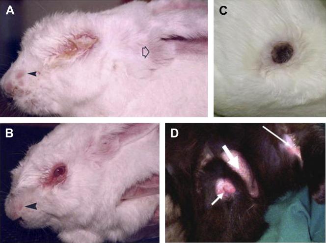 https://cdn.ncbi.nlm.nih.gov/pmc/blobs/98cd/7110462/0d32c45b113b/gr2_lrg.jpg