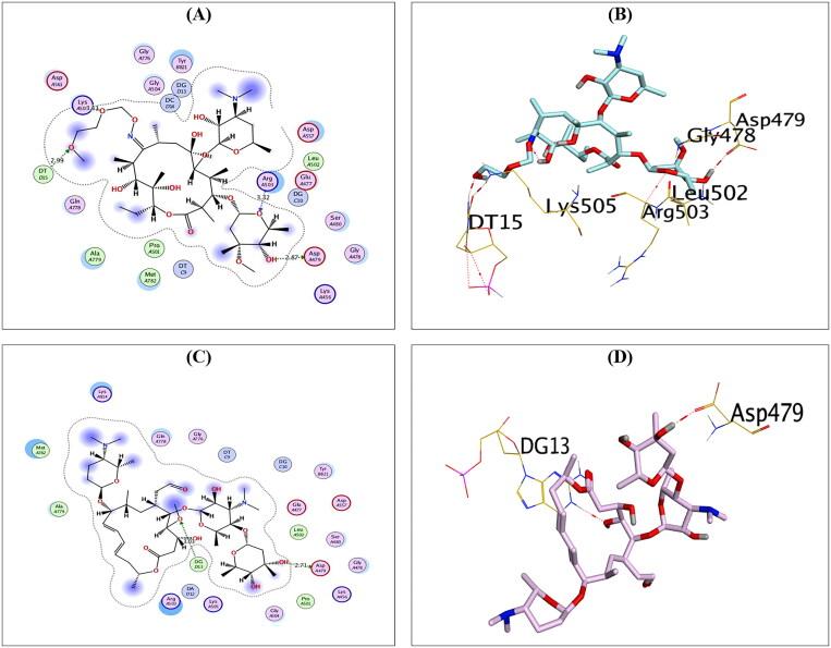 https://cdn.ncbi.nlm.nih.gov/pmc/blobs/98cd/9881673/9a6b7778dd8a/IENZ_A_2171029_F0005_C.jpg