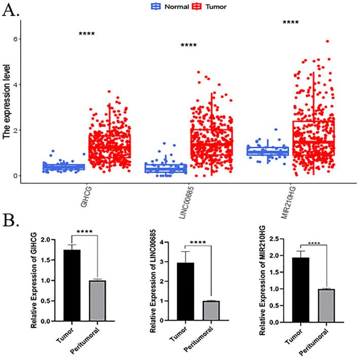 https://cdn.ncbi.nlm.nih.gov/pmc/blobs/98cf/12336248/41b97eb2d51e/fonc-15-1590094-g004.jpg