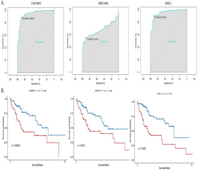 https://cdn.ncbi.nlm.nih.gov/pmc/blobs/98cf/12336248/535ac6727978/fonc-15-1590094-g003.jpg
