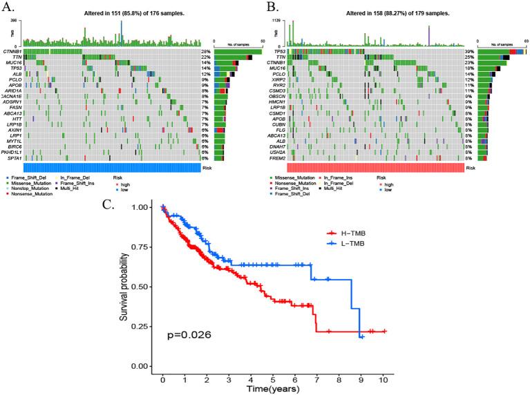 https://cdn.ncbi.nlm.nih.gov/pmc/blobs/98cf/12336248/833860960fb3/fonc-15-1590094-g012.jpg