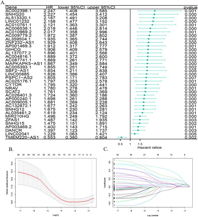 https://cdn.ncbi.nlm.nih.gov/pmc/blobs/98cf/12336248/a2523616f72c/fonc-15-1590094-g002.jpg