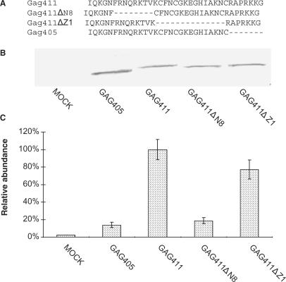 https://cdn.ncbi.nlm.nih.gov/pmc/blobs/98cf/2175372/362f61c8414d/gkm816f9.jpg