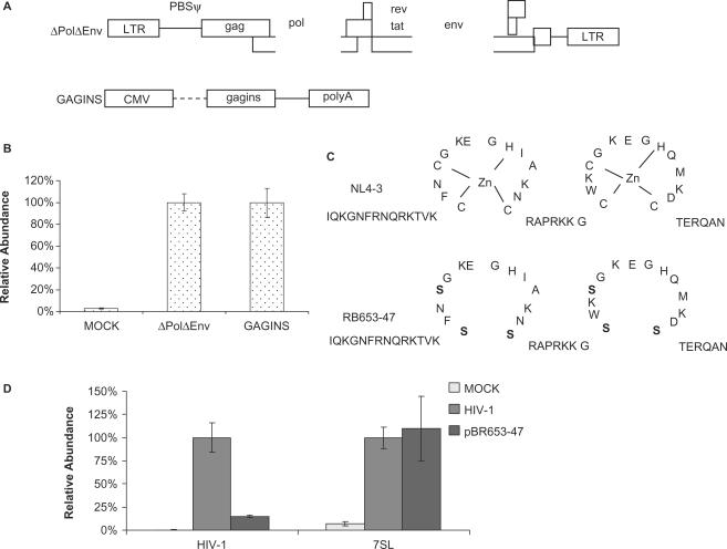 https://cdn.ncbi.nlm.nih.gov/pmc/blobs/98cf/2175372/89264953c125/gkm816f6.jpg
