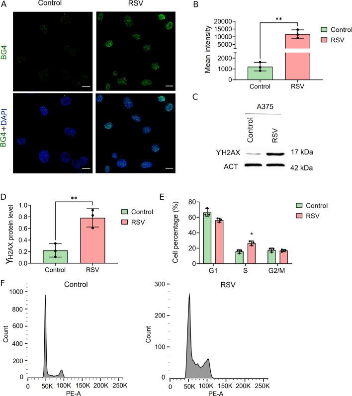 https://cdn.ncbi.nlm.nih.gov/pmc/blobs/98d1/12180162/09b4db8f155d/11658_2025_747_Fig2_HTML.jpg
