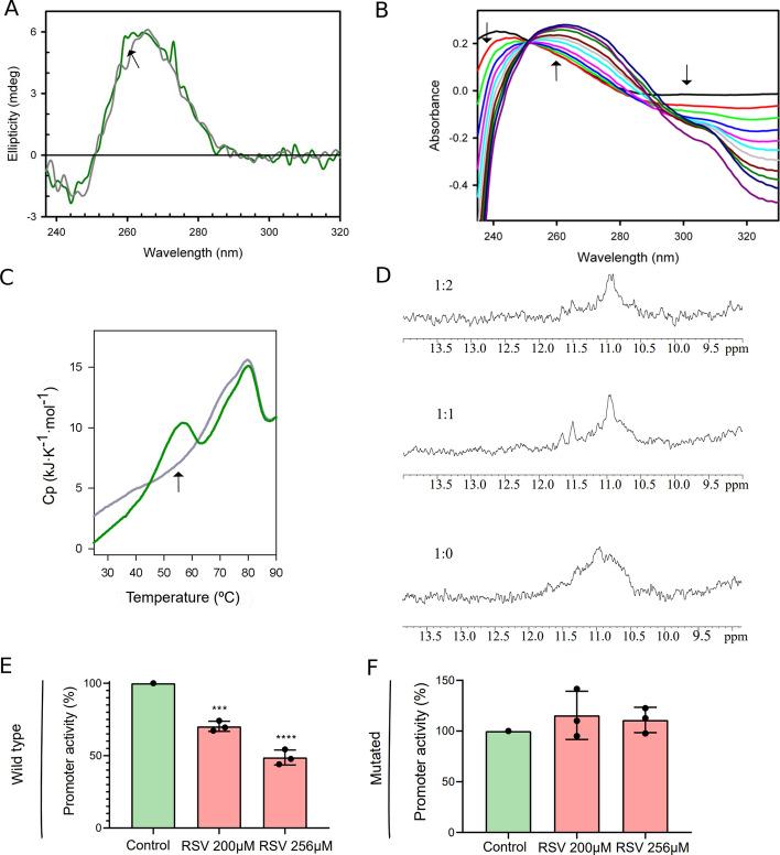 https://cdn.ncbi.nlm.nih.gov/pmc/blobs/98d1/12180162/9d998907040a/11658_2025_747_Fig4_HTML.jpg
