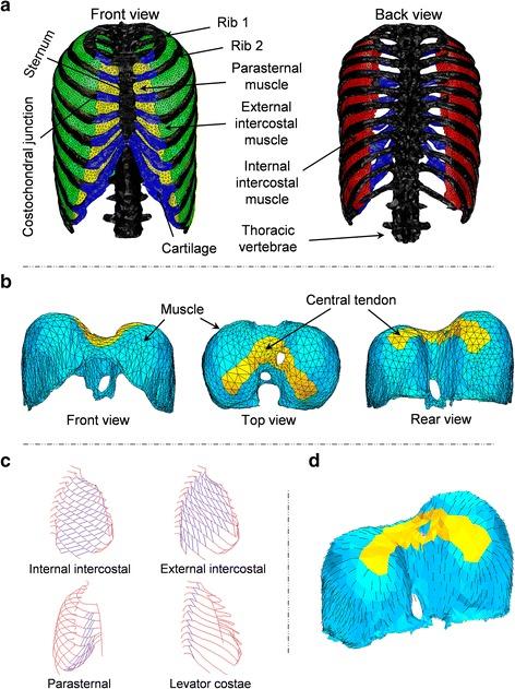 https://cdn.ncbi.nlm.nih.gov/pmc/blobs/98d1/4744443/01a3e70201ff/12938_2016_132_Fig1_HTML.jpg