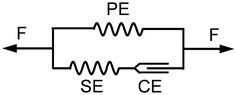 https://cdn.ncbi.nlm.nih.gov/pmc/blobs/98d1/4744443/19f4141842df/12938_2016_132_Fig2_HTML.jpg