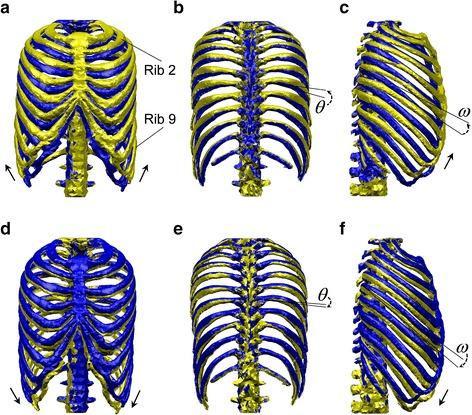 https://cdn.ncbi.nlm.nih.gov/pmc/blobs/98d1/4744443/1e2f86da2096/12938_2016_132_Fig5_HTML.jpg