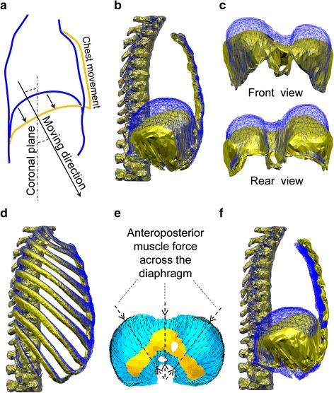https://cdn.ncbi.nlm.nih.gov/pmc/blobs/98d1/4744443/e2cdfd0c9211/12938_2016_132_Fig7_HTML.jpg