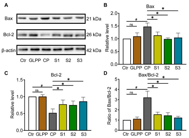 https://cdn.ncbi.nlm.nih.gov/pmc/blobs/98d3/11351902/003de6f5a9e7/biomedicines-12-01632-g009.jpg