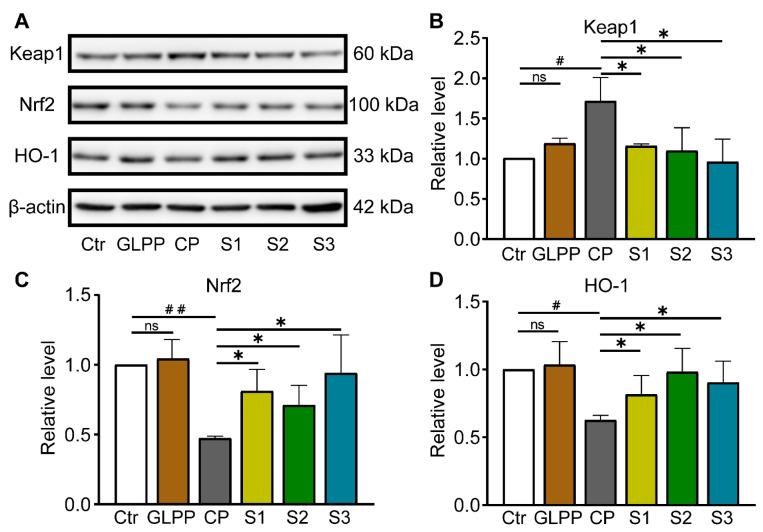 https://cdn.ncbi.nlm.nih.gov/pmc/blobs/98d3/11351902/5c4d44badfc2/biomedicines-12-01632-g008.jpg