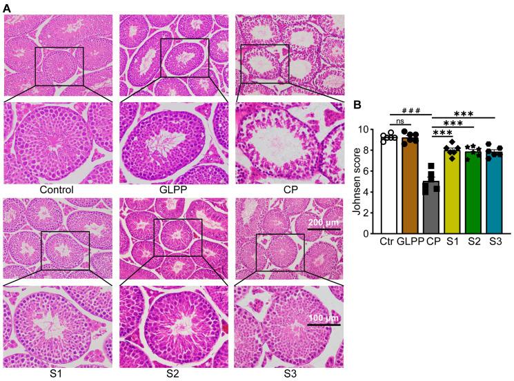 https://cdn.ncbi.nlm.nih.gov/pmc/blobs/98d3/11351902/823364361b8e/biomedicines-12-01632-g005.jpg