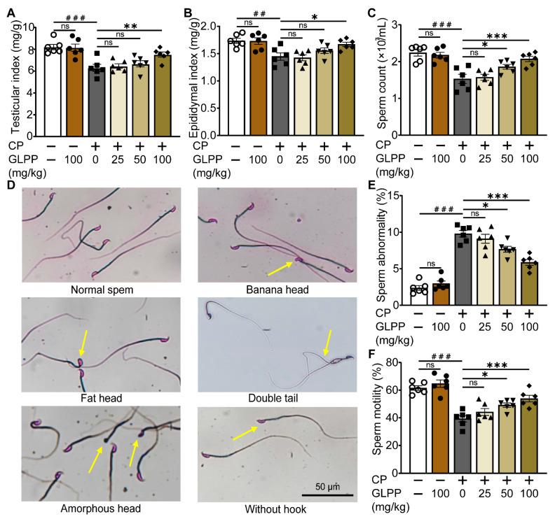https://cdn.ncbi.nlm.nih.gov/pmc/blobs/98d3/11351902/f80da0e125f0/biomedicines-12-01632-g002.jpg