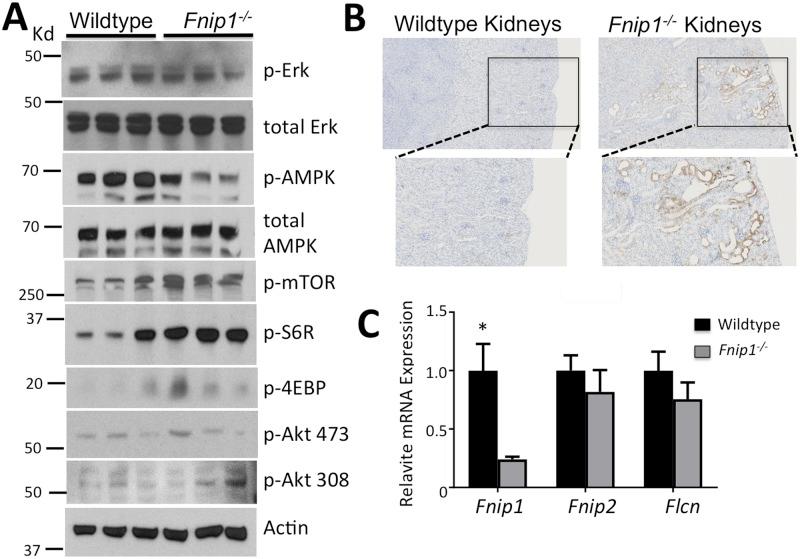 https://cdn.ncbi.nlm.nih.gov/pmc/blobs/98d3/5999084/4613e6a90535/pone.0197973.g002.jpg
