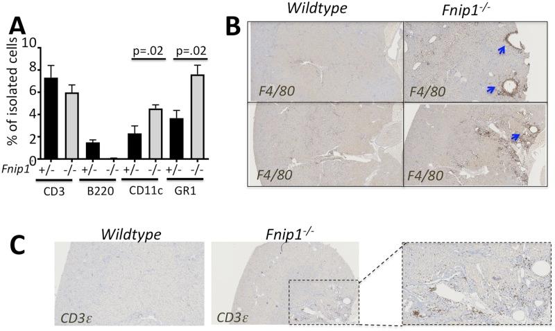 https://cdn.ncbi.nlm.nih.gov/pmc/blobs/98d3/5999084/86ec6f068e78/pone.0197973.g006.jpg