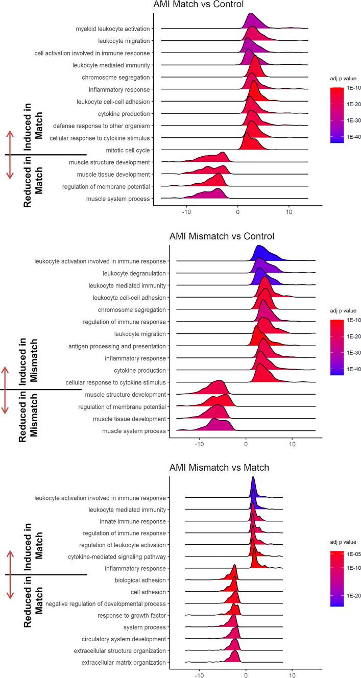 https://cdn.ncbi.nlm.nih.gov/pmc/blobs/98d4/11461641/0277fa060dc8/395_2024_1064_Fig6_HTML.jpg