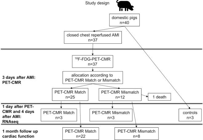 https://cdn.ncbi.nlm.nih.gov/pmc/blobs/98d4/11461641/528c91b8cf04/395_2024_1064_Fig1_HTML.jpg