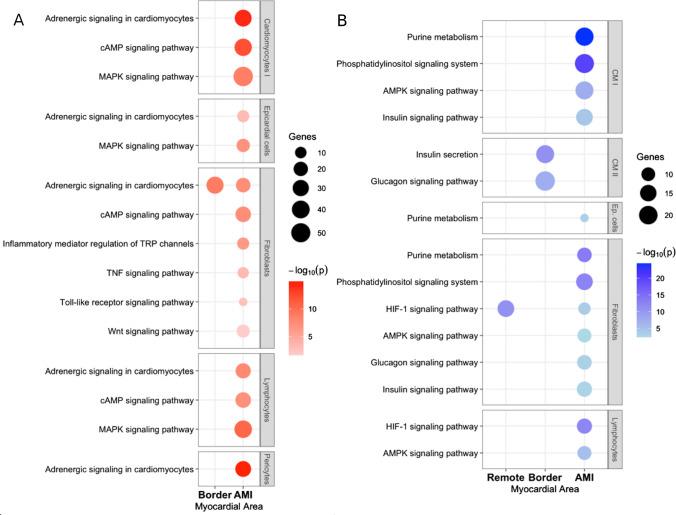 https://cdn.ncbi.nlm.nih.gov/pmc/blobs/98d4/11461641/585533a1316b/395_2024_1064_Fig10_HTML.jpg