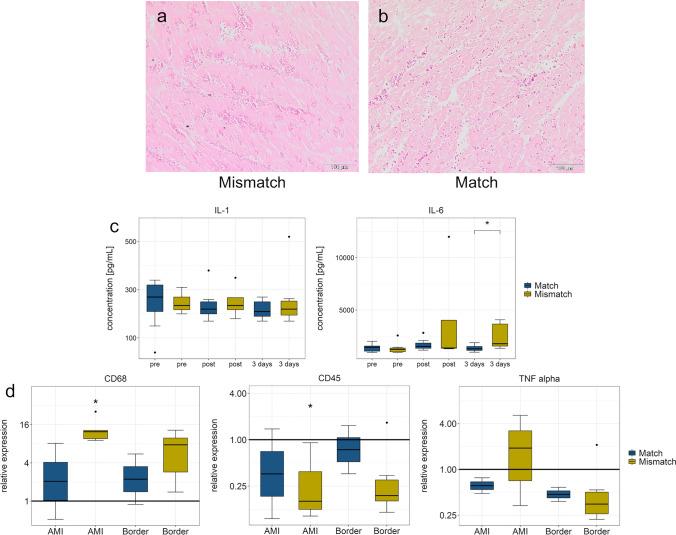 https://cdn.ncbi.nlm.nih.gov/pmc/blobs/98d4/11461641/8157f538810f/395_2024_1064_Fig4_HTML.jpg